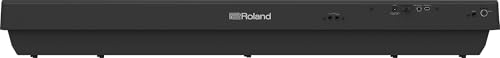 Roland FP-30X 88-Key Digital Piano - Black Bundle with Adjustable Stand, Bench, Sustain Pedal, Online Piano Lessons, Instructional DVD