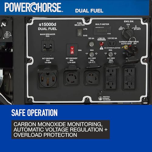 Powerhorse Portable Dual Fuel Generator with Electric Start, 9500 Watts