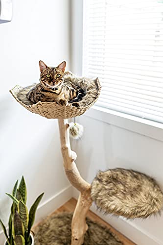 Wooden Cat Climbing Tree Tower, Modern Single Branch Cat Condo, Wood, Cat Lover Furniture Gift by MAU LIFESTYLE (Alpine White)