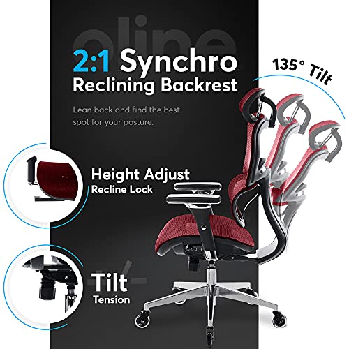Oline ErgoPro Ergonomic Office Chair, Rolling Desk Chair with 4D Adjustable Armrest, 3D Lumbar Support, Blade Wheels