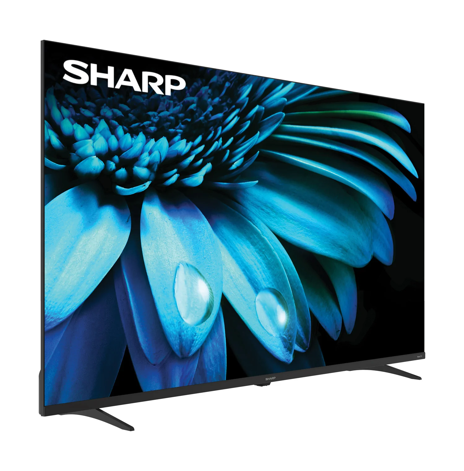 SHARP Roku TV 50 Class (49.51 Diag.) 4K Ultra HD with HDR10 - 4T-C50EL8UR