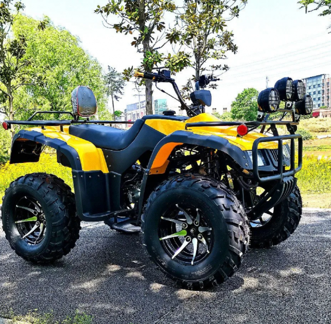 250cc Four-Wheel Drive ATV Quad ATV Farmer Quad Bike
