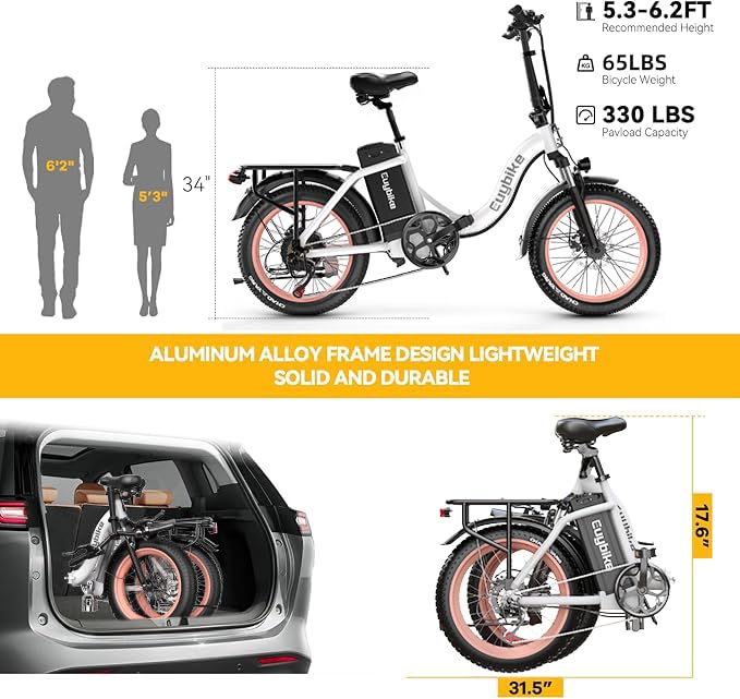 1000W Folding Electric Bike,48V 20AH Removable Battery E Bike,30+MPH,80 Miles Max Range Electric Bike for Adults,20" Fat Tire Foldable ebike