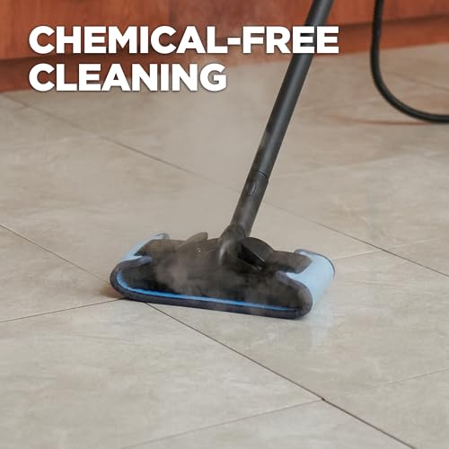 Wagner Spraytech 0282014 915e On-Demand Steam Cleaner & Wallpaper Removal, Multipurpose Power Steamer