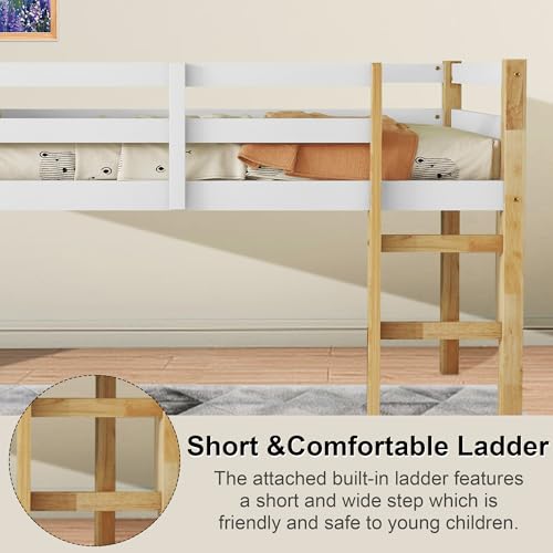 Low Loft Bed Twin Size, Kids Solid Wood Modern Loft Bed Frame with Ladder and Safety Guardrail for Girls Boys, Noise-Free,Non-Toxic Finishes