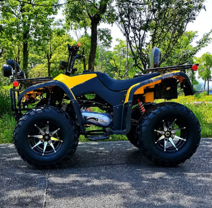 250cc Four-Wheel Drive ATV Quad ATV Farmer Quad Bike