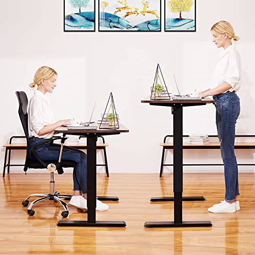 Electric Standing Adjustable Height Desk 55'' x 24''Sit Stand Desk with Charging Station, 2 USB Ports, 3 Power Outlets, 4 Caster