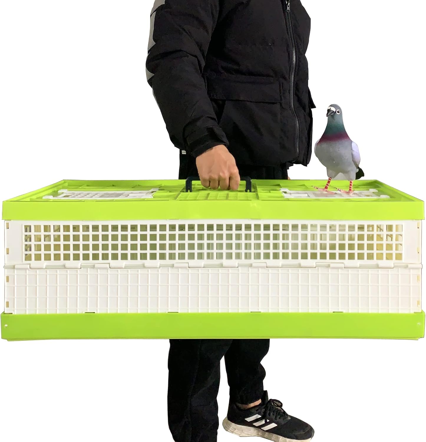 Plastic Folding Pigeon Cage Training Flying Cage Transport Cage 32in for Racing Pigeon