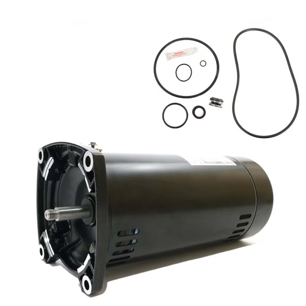 Puri Tech Sta-Rite Max-E-Pro 1HP P6RA6E-205L Replace Motor Kit AO Smith USQ1102 Motor w/ GO-Kit-79