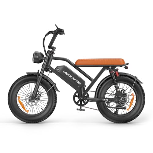 Electric Bike for Adults