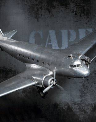 Dakota DC-3 Aircraft Replica Model Airplane by Authentic Models by Authentic Models