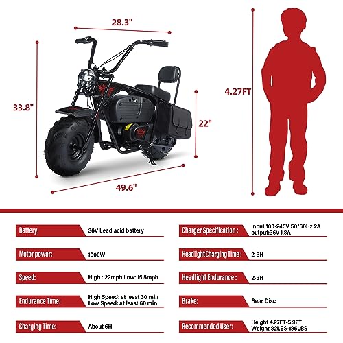 Oryxearth Electric Mini Dirt Bike, 36V Battery 1000W Motor Electrical Powered Motorcycle for Kids, 2 Speeds-15.5MPH/22 MPH, 2 Hanging Bags