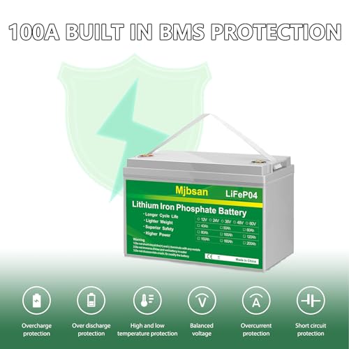 12V 100Ah LiFePO4 Battery 12V 100Ah Lithium Battery, Built-in 100A BMS 1280Wh,Up to 15000+ Deep Cycle Rechargeable Battery 12V