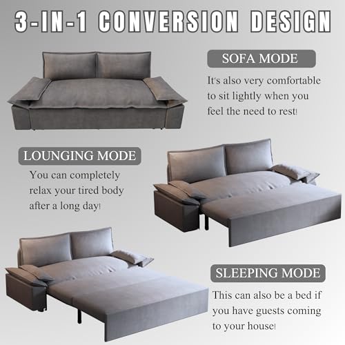 3 in 1 Convertible Queen Sleeper Sofa Bed Comfy Pull Out Futon Couch Bed 63.8" Modern Velvet Recliner Loveseat Sofa Multi-Functional Black Cloud
