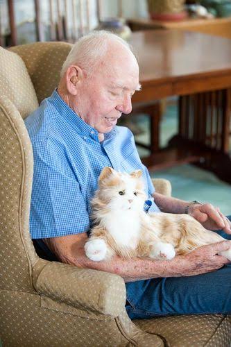Joy for All - Companion Pet Cat - Orange Tabby