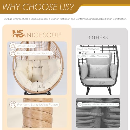 NICESOUL Egg Chair Indoor Outdoor, Large Egg Lounge Chair w/Ottoman, Oversized Comfy Cushioned Brid Cage Seat 440lbs