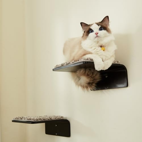 Cat Wall Shelf with Two Steps - Wave Cat Shelves and Perches for Wall - Wall Mounted Cats Furniture for Sleeping, Playing, Climbing, and Lounging
