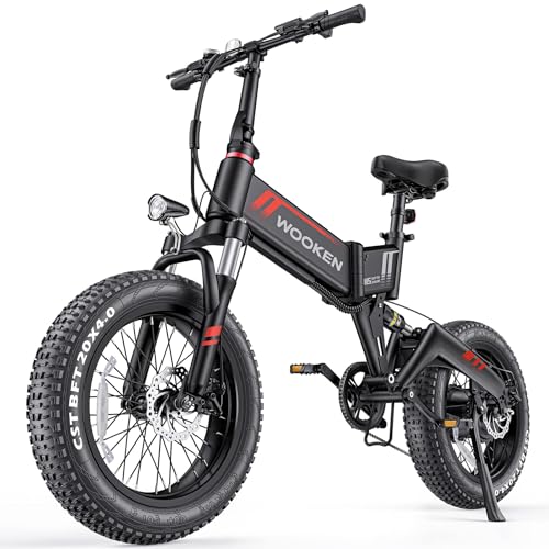 Wooken Electric Bike, 20''X4.0 Fat Tire Electric Bike for Adults,500W(Peak 750W) Foldable Electric Bike with 48V 10Ah Battery,Professional 7 Speed