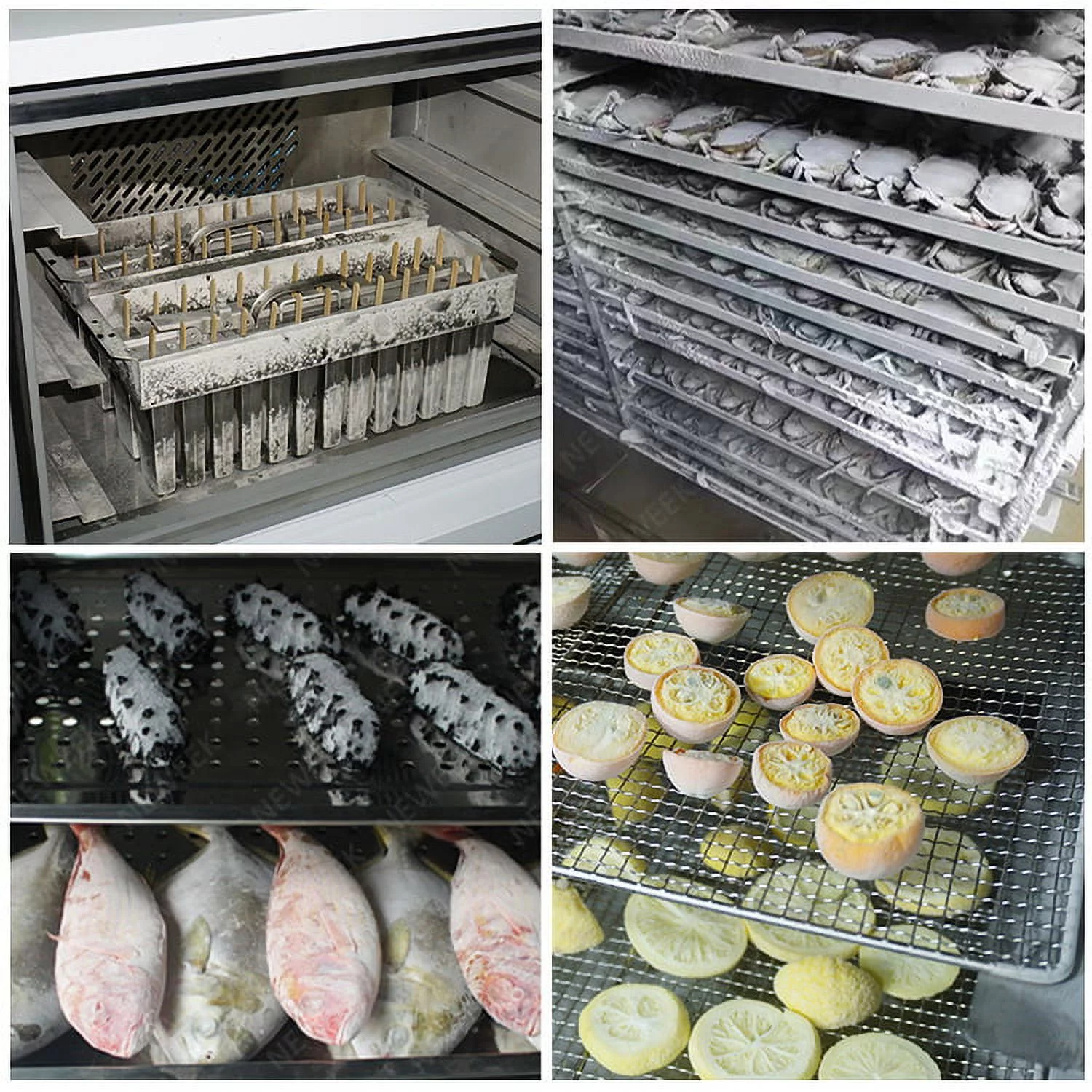 Kolice Commercial 3 Trays Blast Chiller & Freezer, Chest Freezer, Blast Freezer, Dumpling Freezer, Batch Freezer for Hard ice Cream, Chicken, Fish