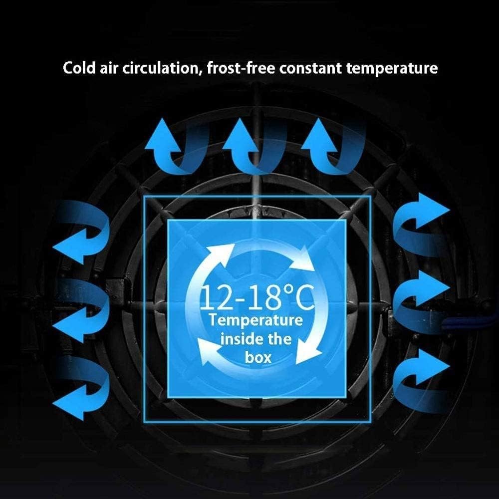 18 Bottle Smart Wine Storage Cabinet, Electronic Constant Temperature Freestanding Wine Cellar, Digital Temperature Control, Silent Operation