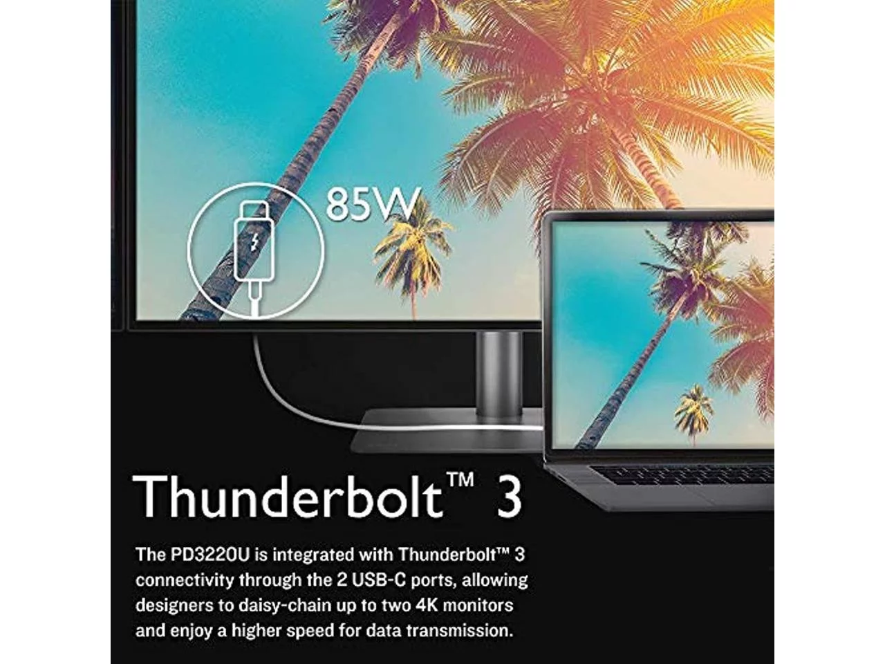 BenQ 32" (31.5" Viewable) 60 Hz IPS UHD Monitor 5 ms 3840 x 2160 (4K) HDMI, DisplayPort, Thunderbolt 3, USB, Headphone PD3220U