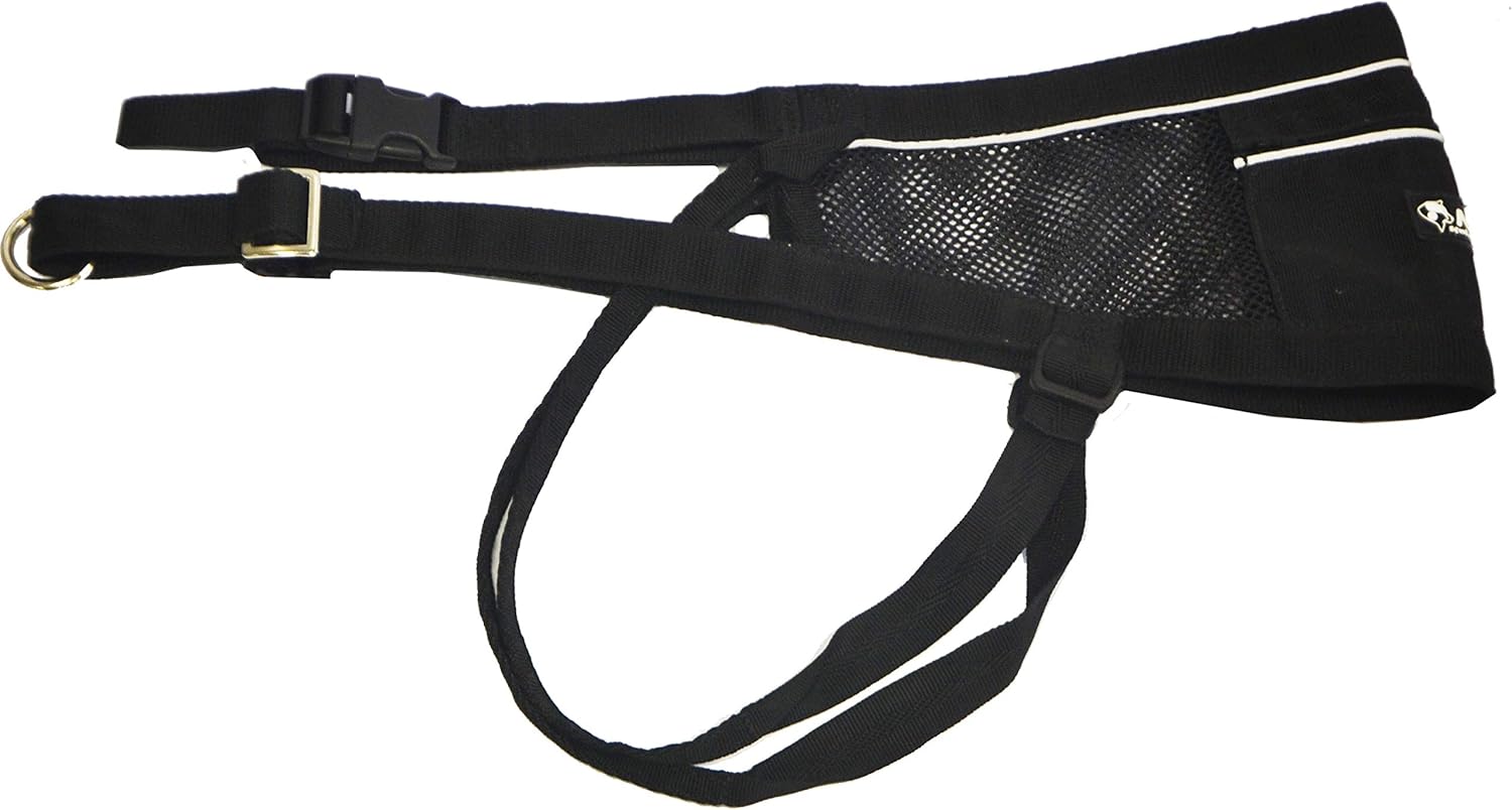 Neewa Canicross & Skijoring Belt to Run or Walk with Your Dog with Dog Running Leash Hands Free 2 Dogs or One