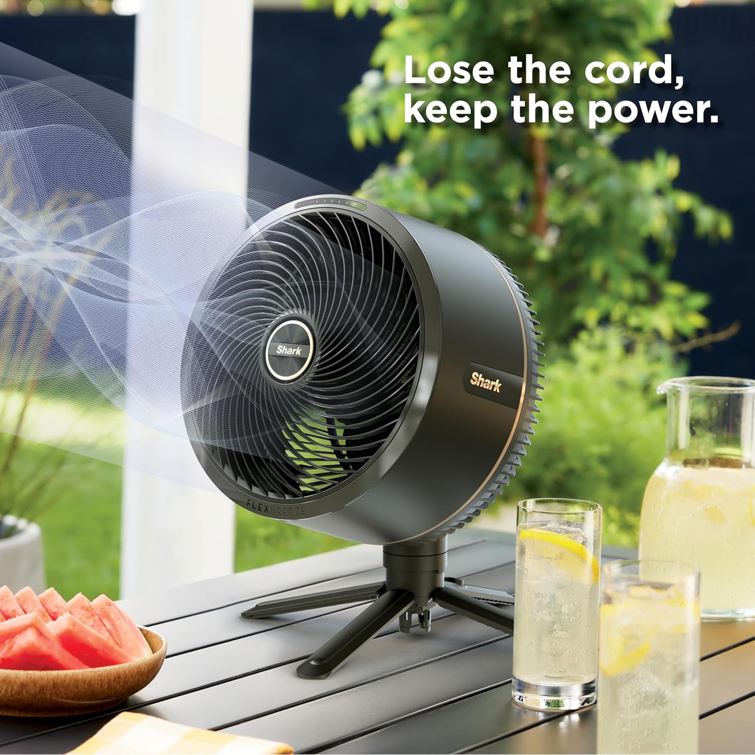 Shark FlexBreeze Pedestal & Tabletop, Indoor & Outdoor, Portable, Oscillating Fan with Remote, Quiet, Powerful