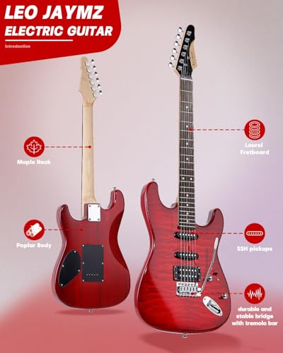 Leo Jaymz 39" Full Size ST Style Electric Guitar Starter Kit with SSH Pickup, 5W Portable Amp, Tuner, Gig Bag, Strap & Accessories (Violet Ocean)