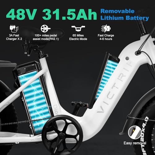 VICTRIP Electric Trike for Adults 100+ Miles Long Range 20" Fat Tire Electric Tricycle 750W 48V 31.5Ah Removable Dual Battery 3 Wheel Electric
