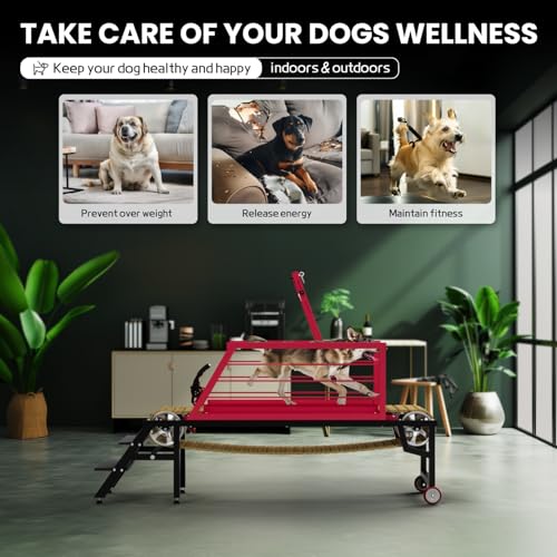 Dog Treadmill for Small to Large Dogs, Adjustable Speed Pet Exercise Machine with Quiet Motor, Supports Up to 300lbs for Weight Loss & Training