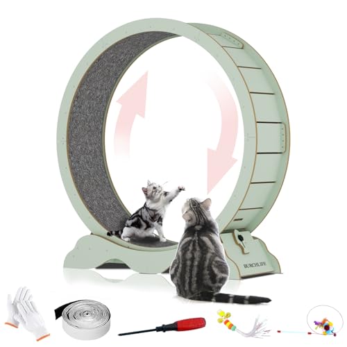 Cat Exercise Wheel 45 Inch Cat Treadmill for Indoor Cats, Running Wheel with Detachable Carpeted Runway