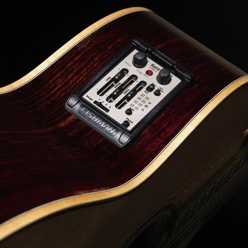 Fishman Onboard Aura Pro Preamp - Narrow Format
