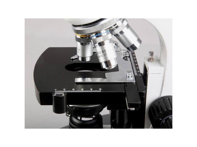 Amscope Binocular Biological Compound Microscope 40X-2000X