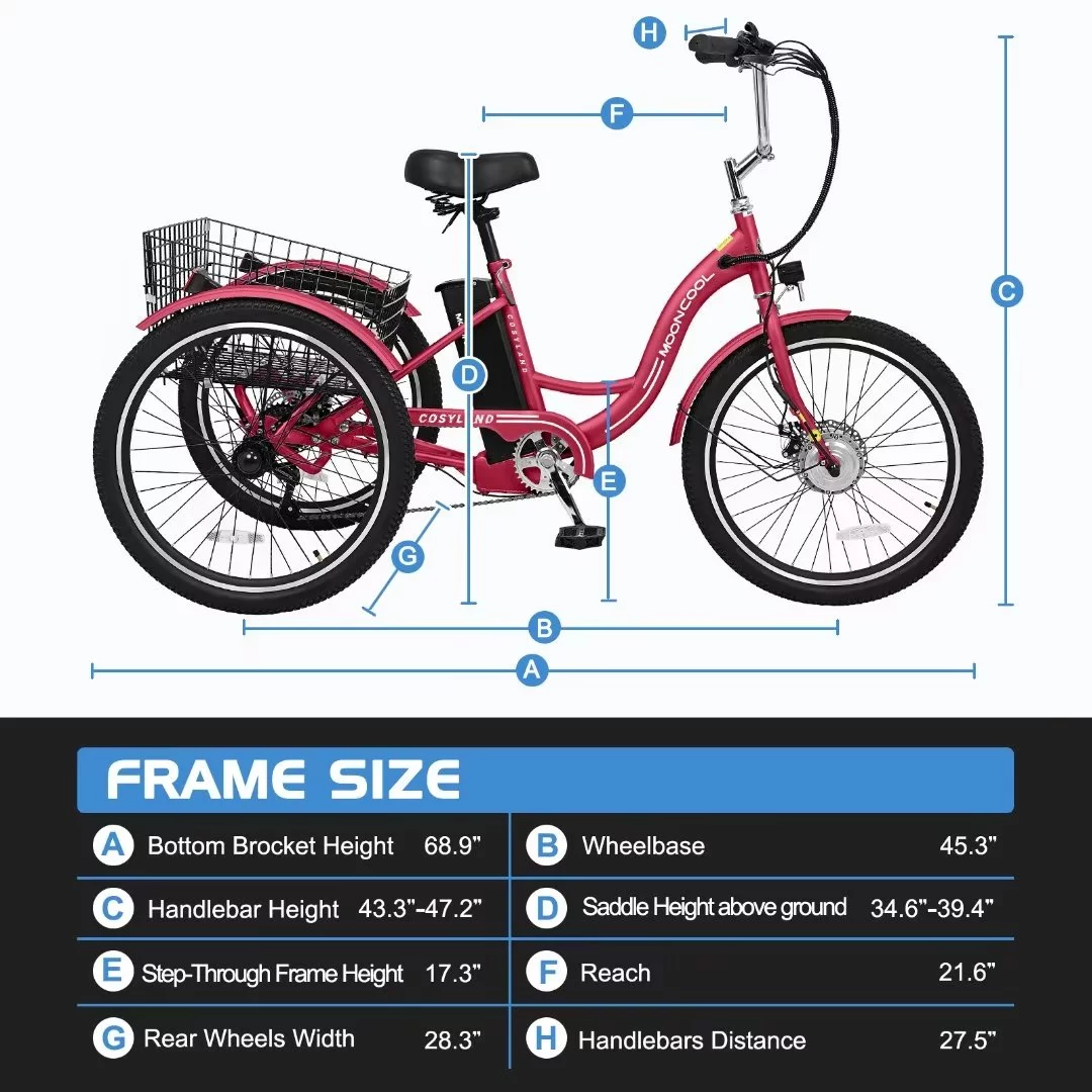 NAIZEA 24 3 Wheel Electric Bike for Senior, 350w Adults Electric Trike, Three Wheel Ebike Bicycle with Removable 36V 10Ah Lithium Battery