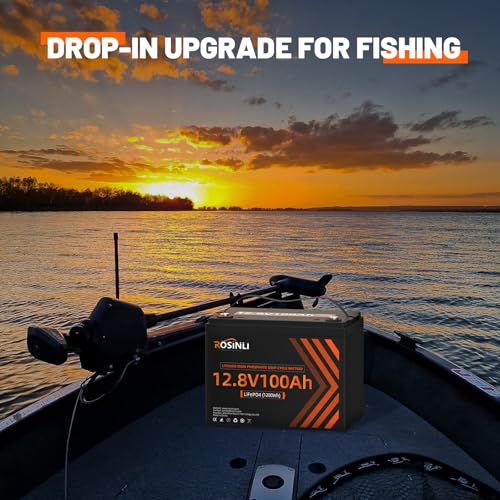 12V 100Ah BCI Group 24 LiFePO4 Battery, Built in 100A BMS, Max. 15000 Deep Cycle Lithium Rechargeable Battery for RV, Trolling Motor, Camping, Marine
