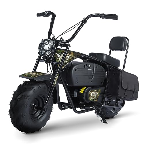 Oryxearth Electric Mini Dirt Bike, 36V Battery 1000W Motor Electrical Powered Motorcycle for Kids, 2 Speeds-15.5MPH/22 MPH, 2 Hanging Bags