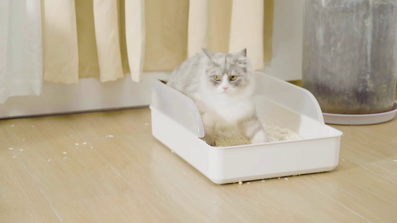 PETSFIT Cat Litter Box Enclosure, Odor-Free Design, Storage Cabinet, Easy-Clean, and Stylish Hidden Cat  Litter Box Furniture White