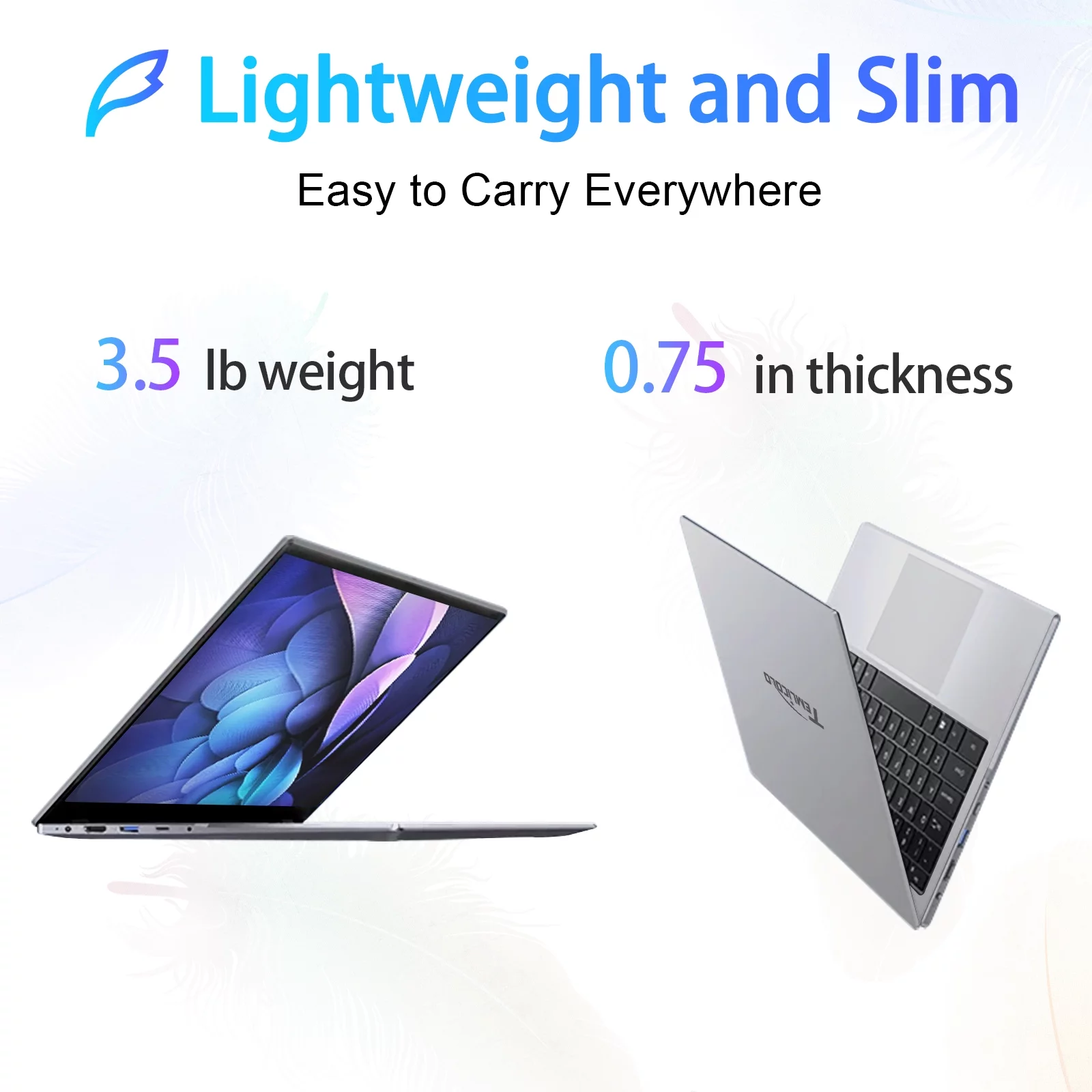 Temlicolo 14.1" Laptop, 8GB RAM PC, 256GB SSD, Intel Celeron N4020C up to 2.8GHz, Windows 11 Pro, Webcam, 1TB SSD Expansion, Silver