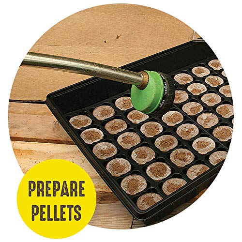 Jiffy Seed Starting Tray Kit, 72 Cell 36mm Peat Pellets with Bonus, 2 Pack, 144Pellets Total