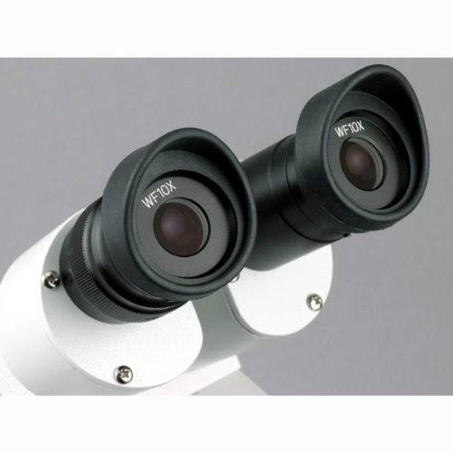 Amscope 20X-40X-80X Forward Stereo Microscope with 1.3MP Digital Camera