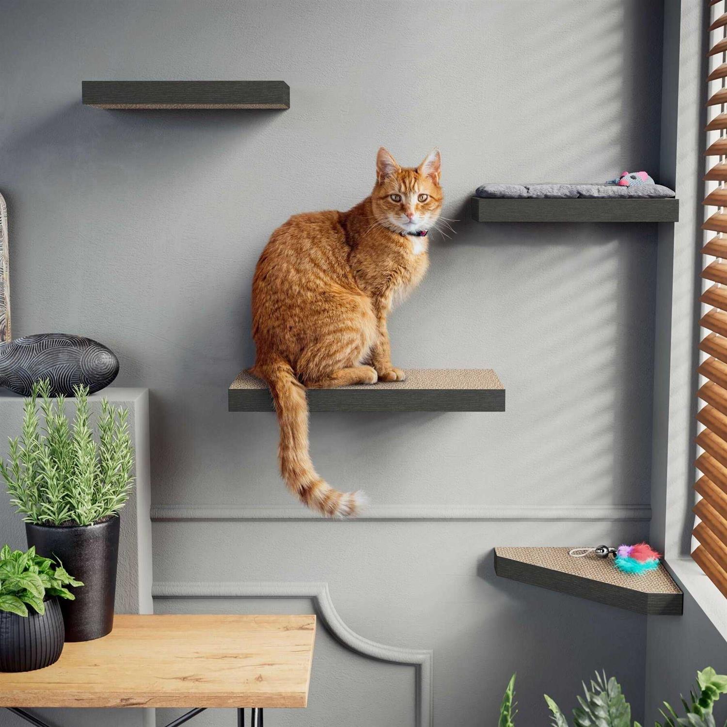 Way Basics Cat Scratcher Floating Shelf Combo - Pet Supplies online store