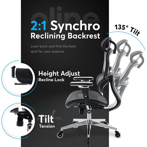 Oline ErgoPro Ergonomic Office Chair, Rolling Desk Chair with 4D Adjustable Armrest, 3D Lumbar Support, Blade Wheels