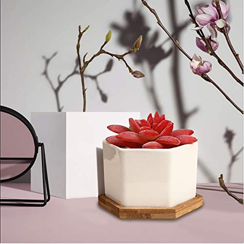 OAMCEG 6 Pack 4 Inch Succulent Pots - Small Succulent Planters