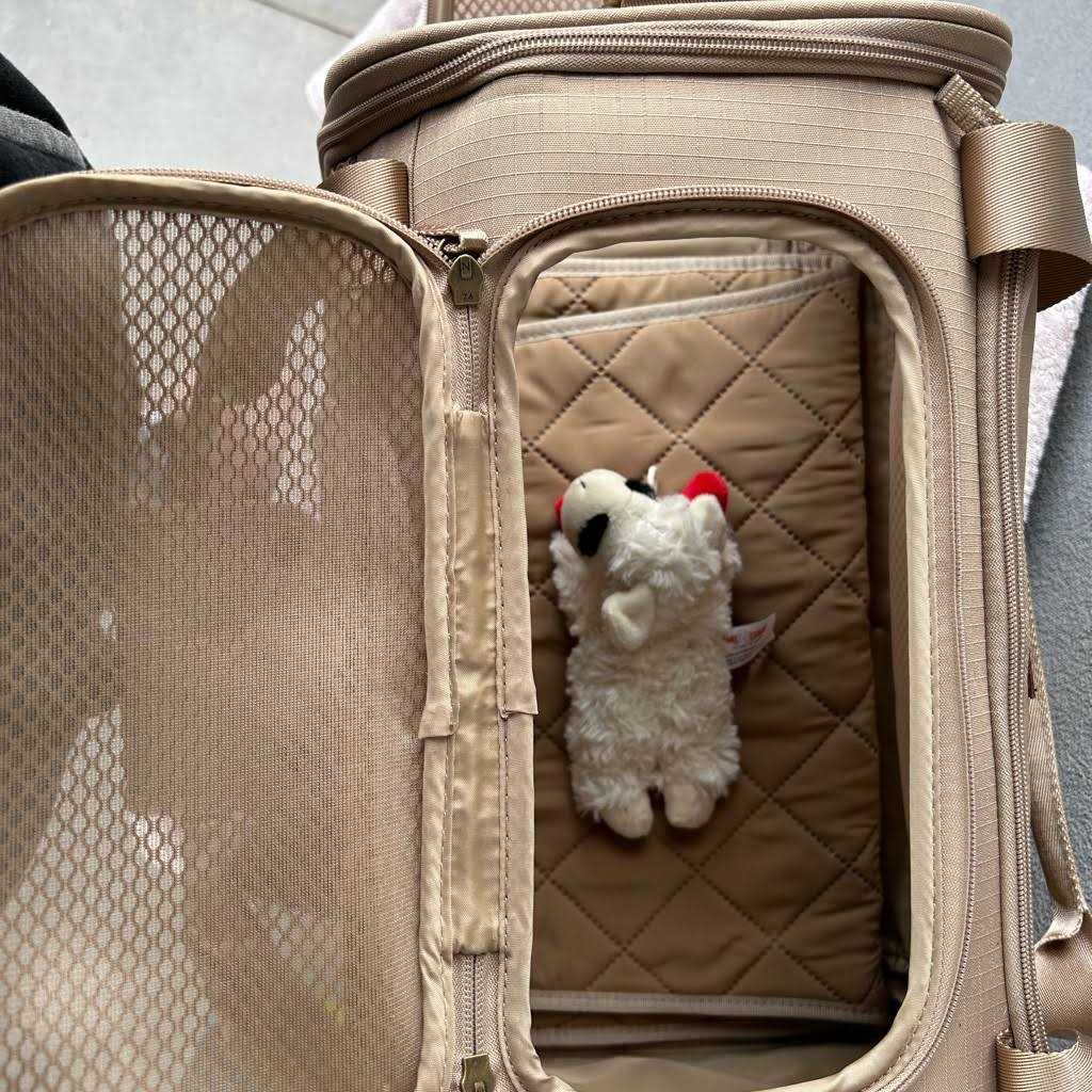 Reddy Fold-Out Pet Carrier - Pet Supplies online store