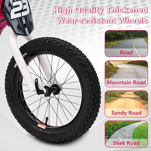 wanan Electric Dirt Bike for Kids 6-12 with Shock-Absorbing Front Fork, 250W Electric Motorcycle Up to 15.5MPH, 24V Detachable Battery, 16''