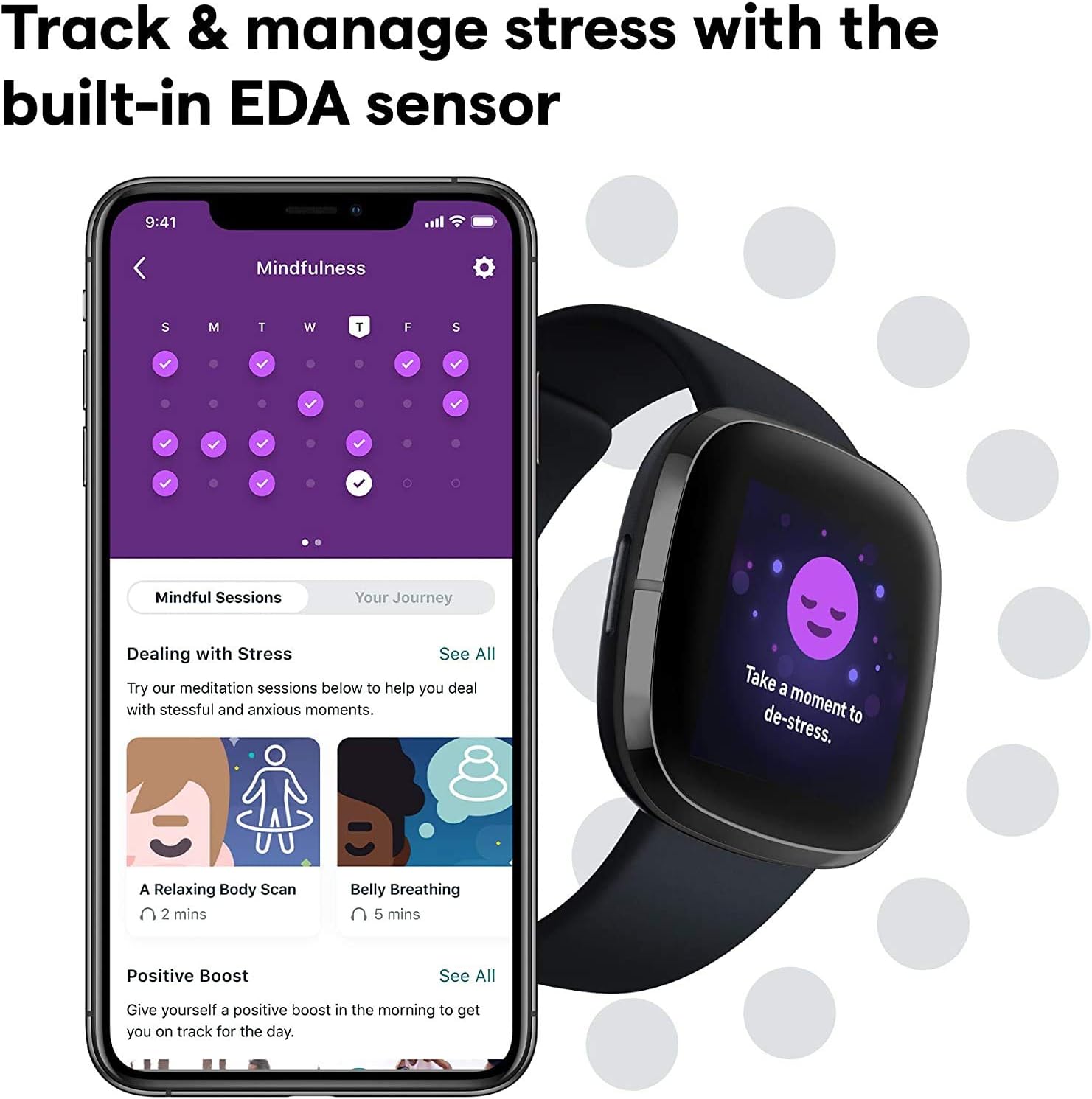 Fitbit Sense Health & Fitness Smartwatch W/GPS, Bluetooth Call/Text, Heart Rate SpO2, ECG, Skin Temperature & Stress Sensing (S & L Bands