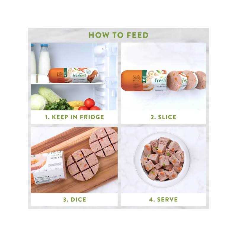 Salutem Vita Freshpet Dog Food Chunky Beef Recipe - Pet Supplies online store