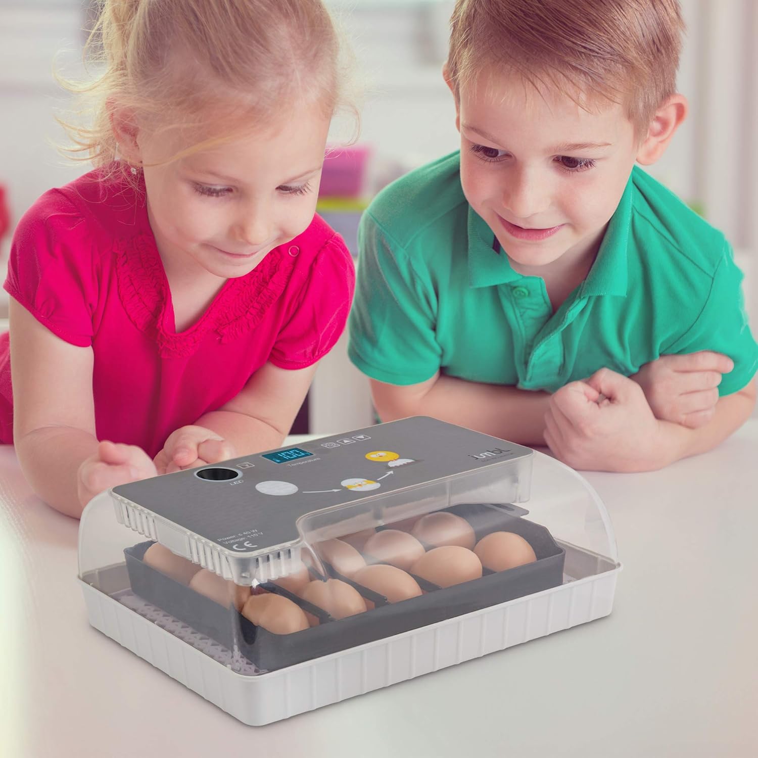 Jumbl Clear Egg Incubator, Fully Automatic Digital Poultry Hatching Machine, Temperature Control & Automatic Egg Turner, LED Candler