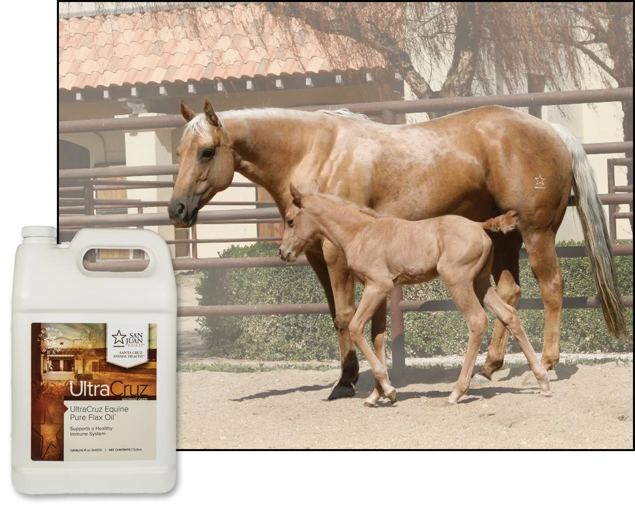 UltraCruz Pure Flax Oil Supplement for Horses and Livestock, 4 x 1 Gallon