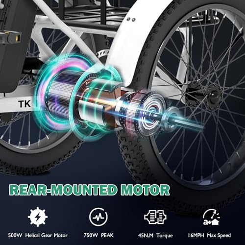 LILYPELLE Electric Trike for Adults, 500W Folding Electric Tricycle Electric Trike
